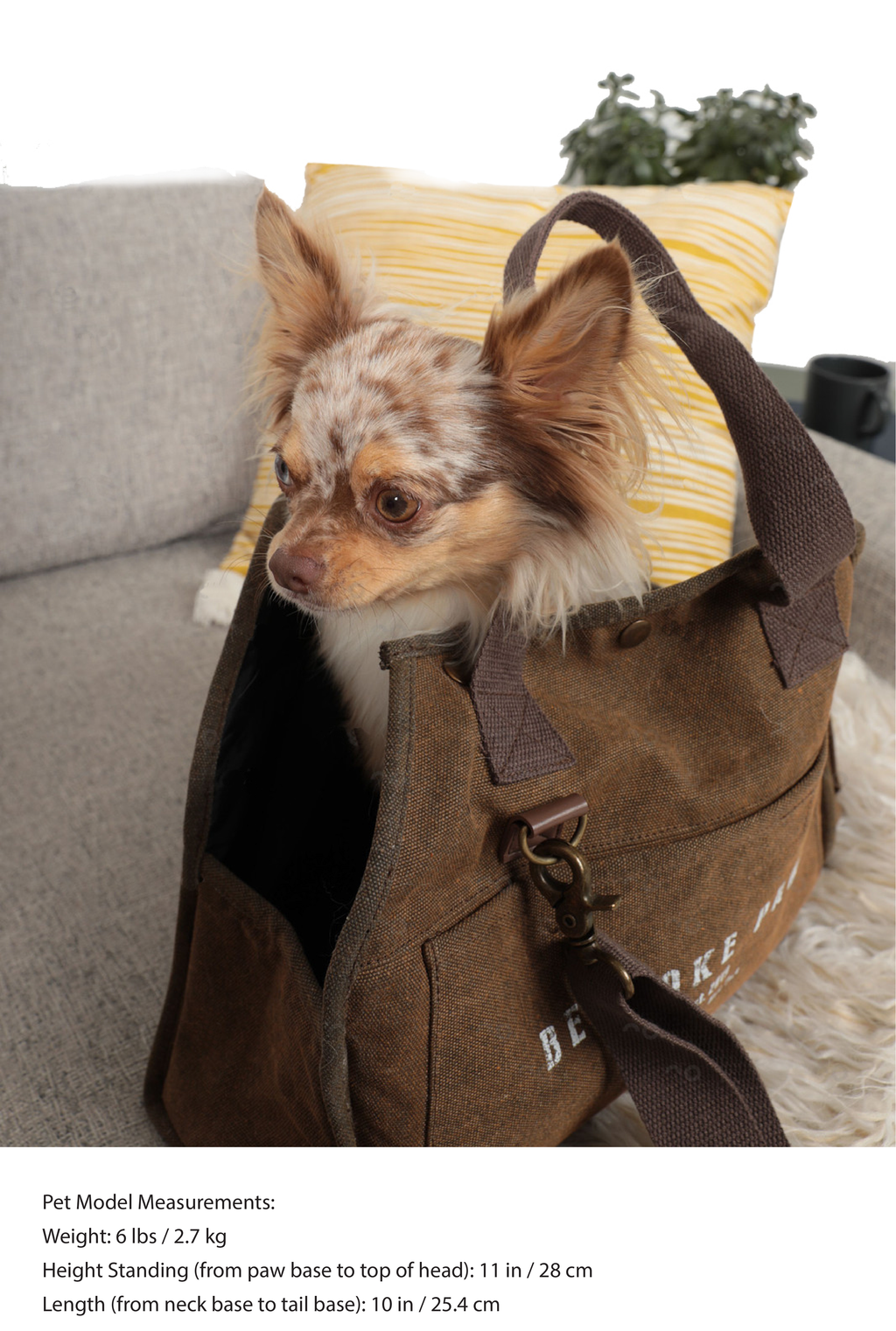 The Daily Carrier – Travel Pet Carrier