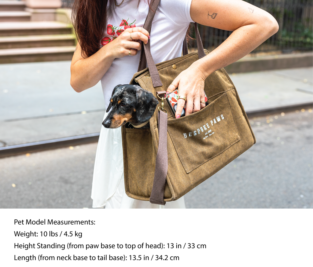 The Daily Carrier – Travel Pet Carrier