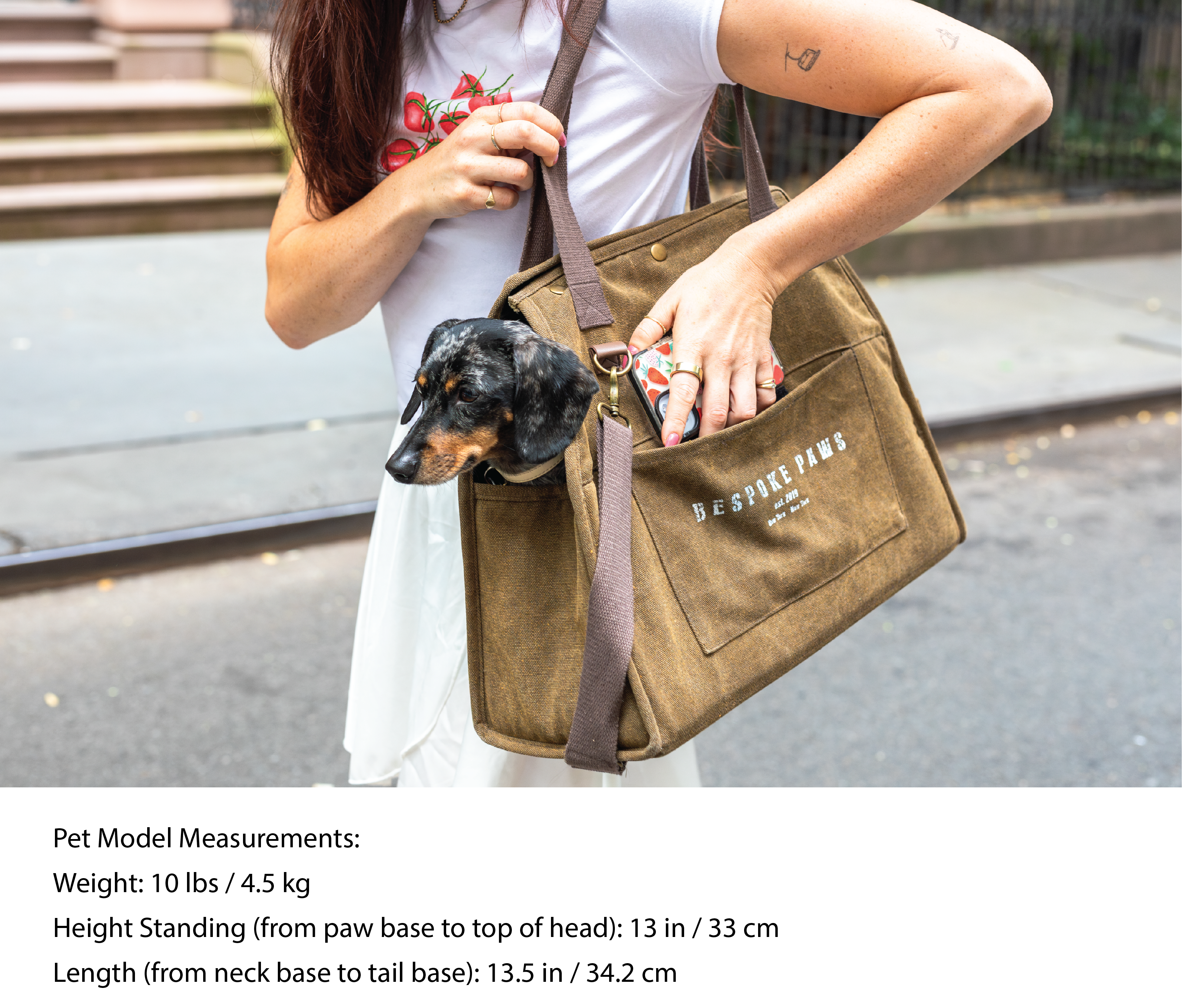 The Daily Carrier – Travel Pet Carrier