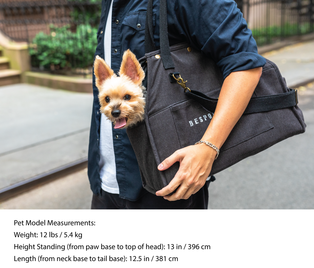 The Daily Carrier – Travel Pet Carrier