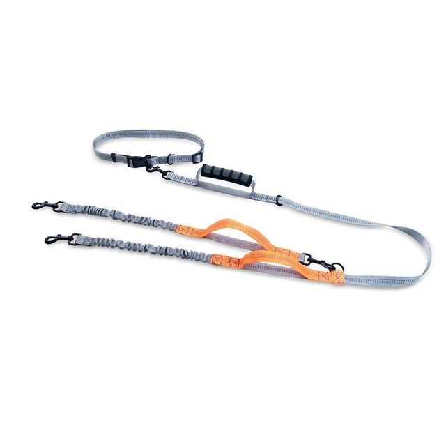 Hands-Free Bungee Dog Leash