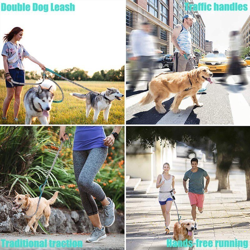Hands-Free Bungee Dog Leash
