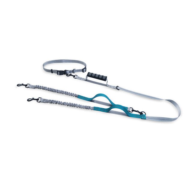 Hands-Free Bungee Dog Leash