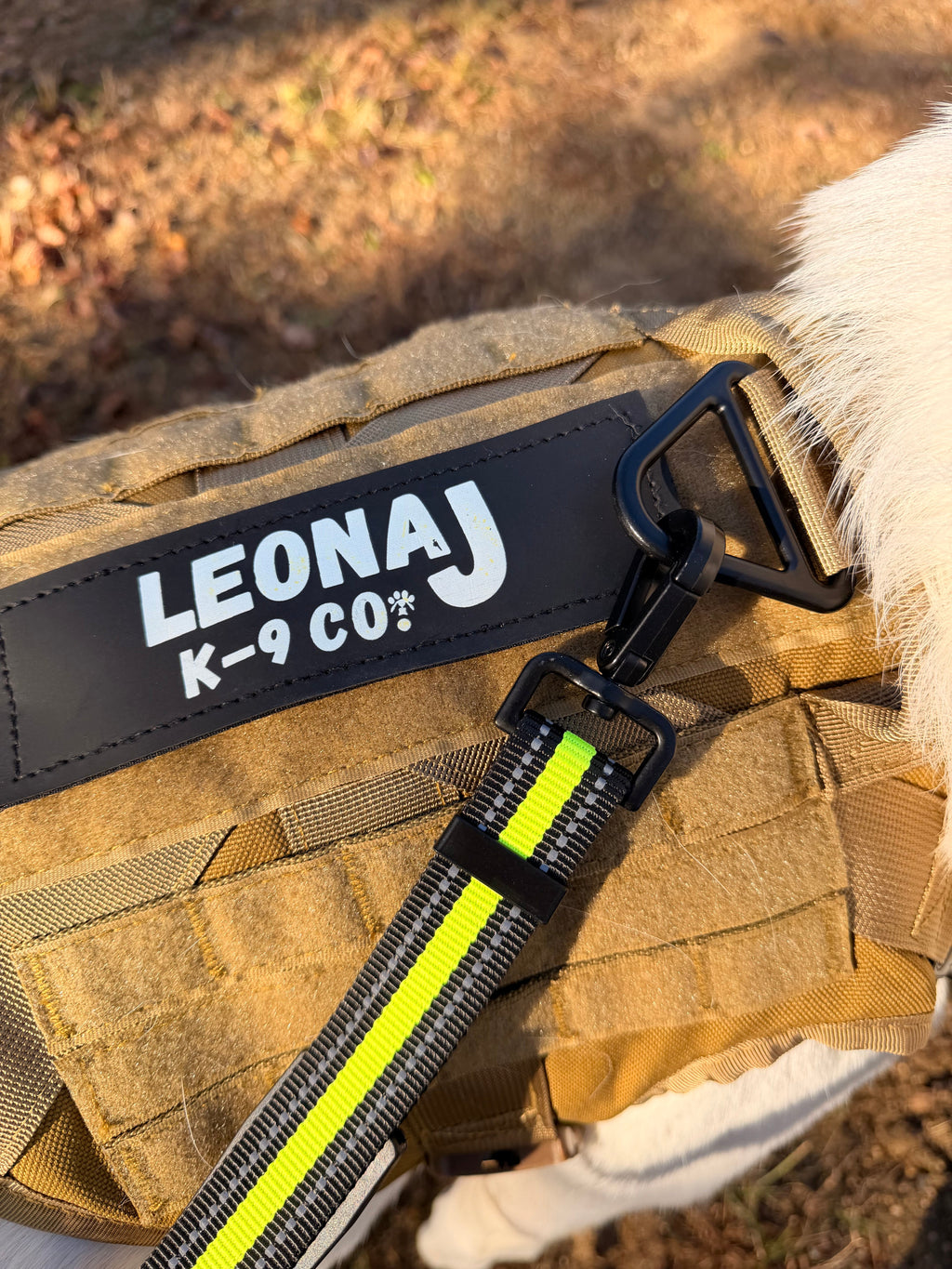 Running & Hiking Hands-Free Dog Leash