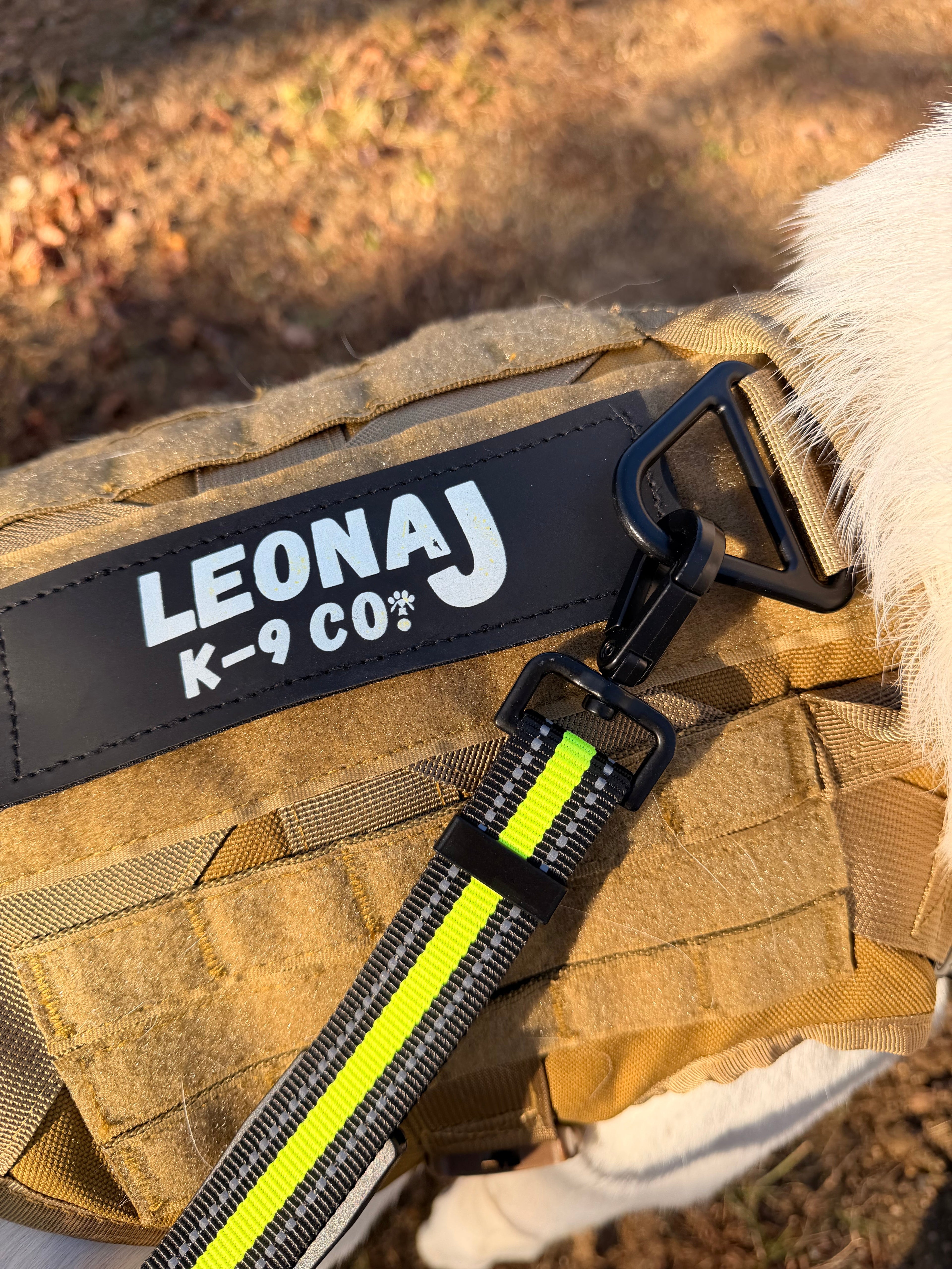 Running & Hiking Hands-Free Dog Leash