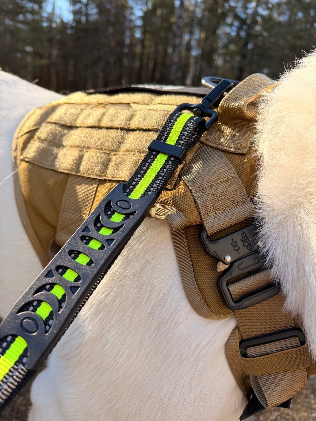 Running & Hiking Hands-Free Dog Leash