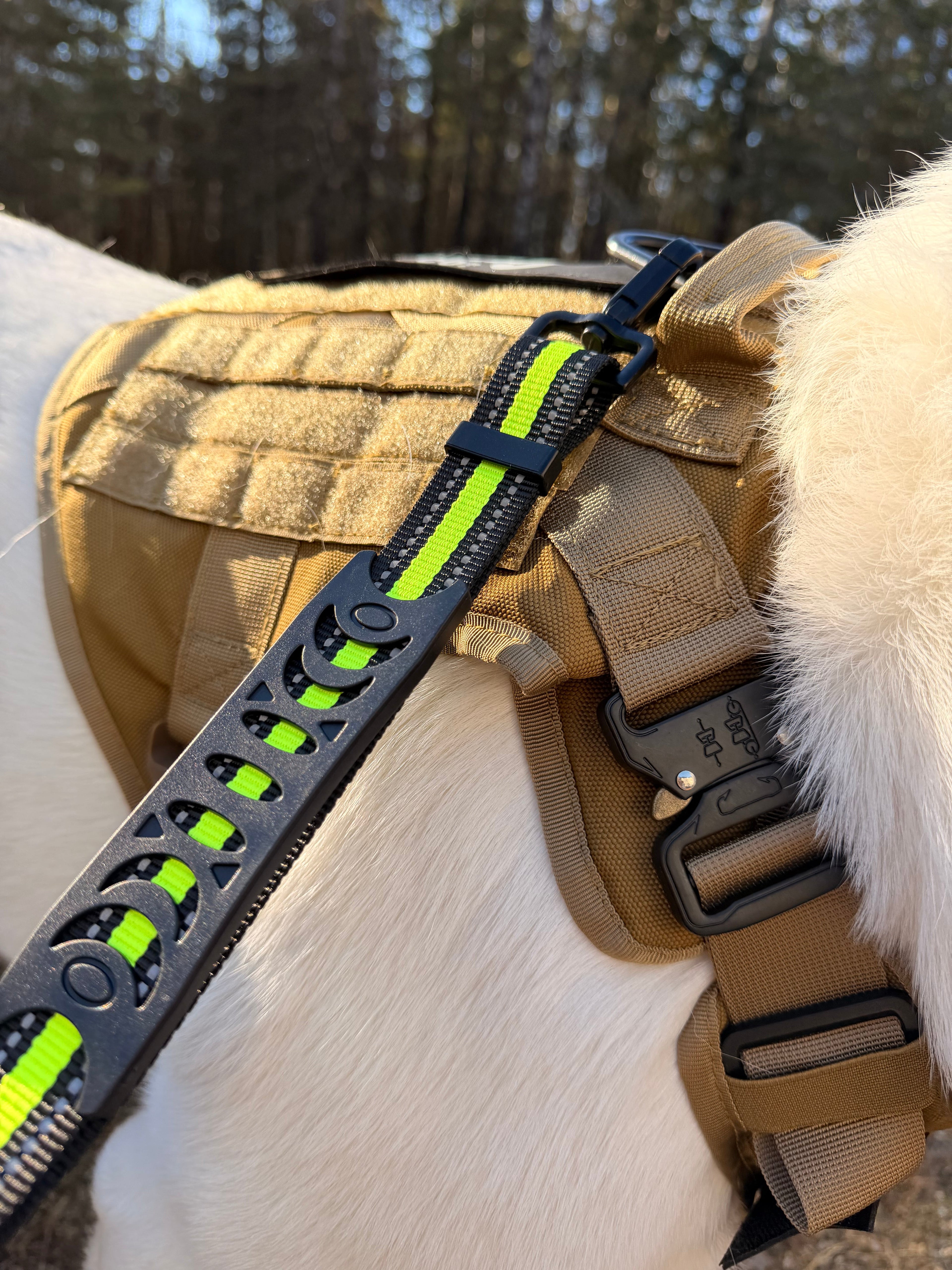 Running & Hiking Hands-Free Dog Leash