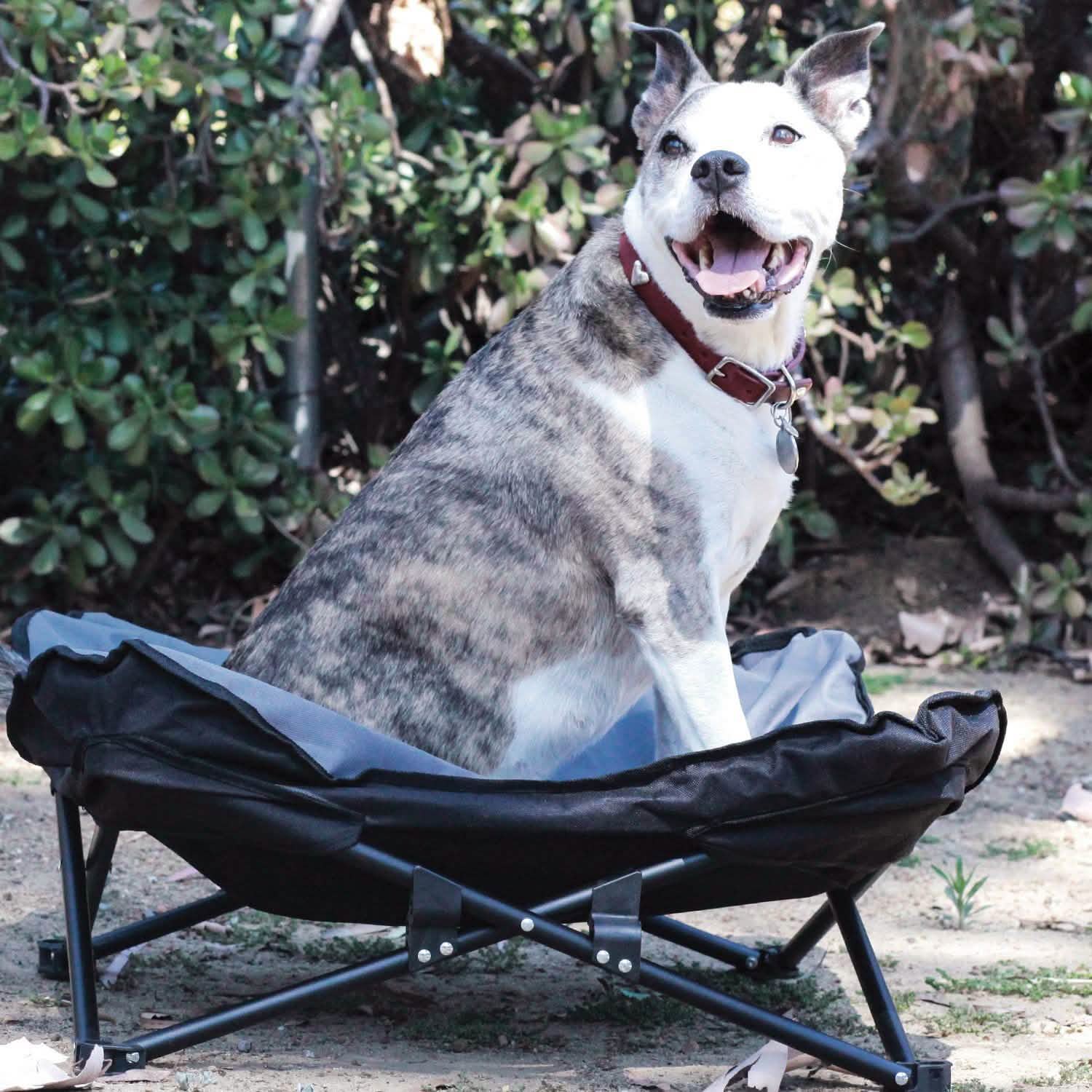 Elevated Camp Lounge Bed