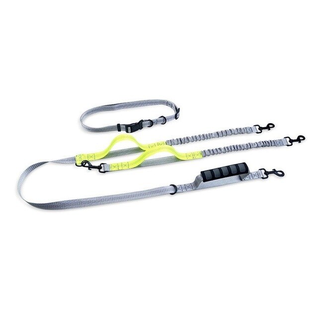 Hands-Free Bungee Dog Leash