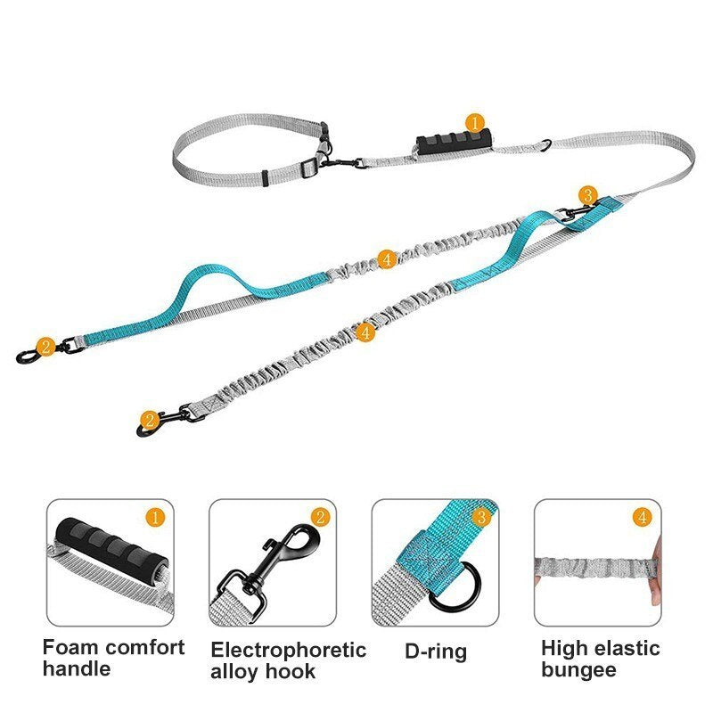 Hands-Free Bungee Dog Leash