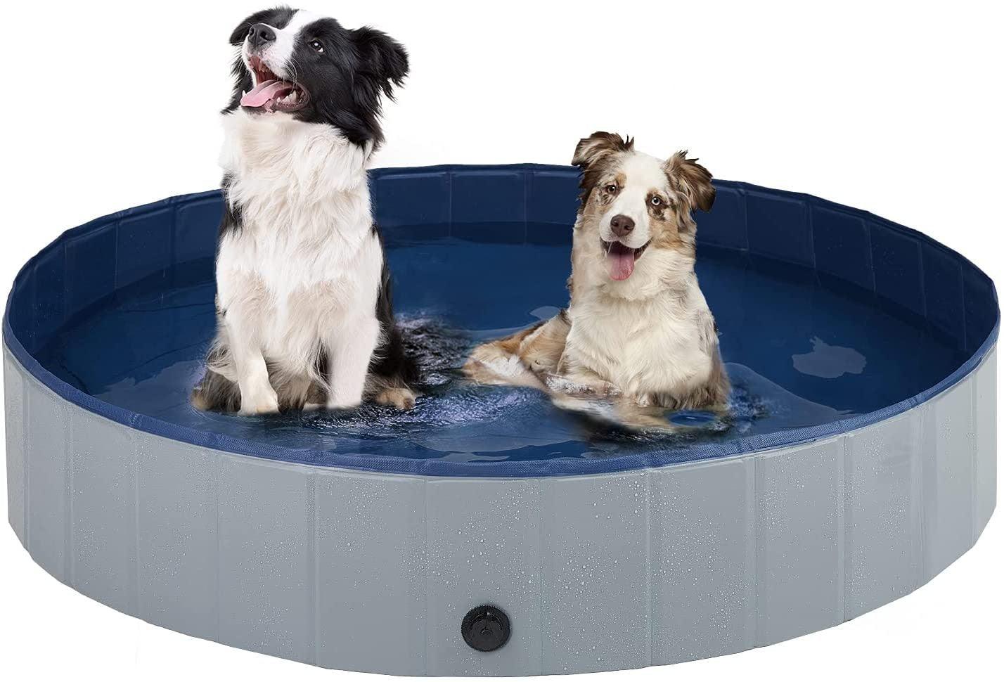 Backyard Splash Pool