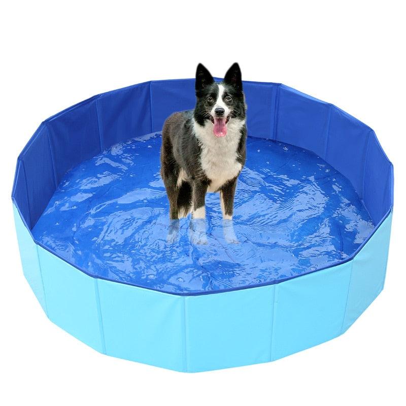 Backyard Splash Pool